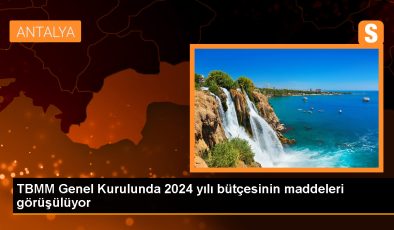 TBMM Genel Kurulunda 2024 yılı bütçesinin maddeleri görüşülüyor