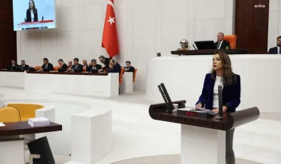 CHP Milletvekili Gamze Akkuş İlgezdi, Diş Hekimleri İle İlgili Sağlık Torba Teklifini Eleştirdi