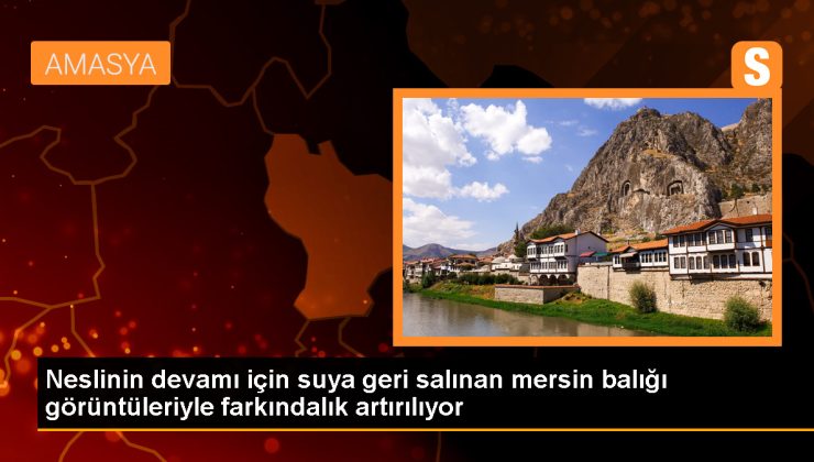 Mersin Balığının Neslinin Devamı İçin Sosyal Medya Çalışmaları Yürütülüyor