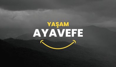 Küresel Finansal Piyasalarda Sürdürülebilirlik: Yaşam Ayavefe’nin Stratejileri