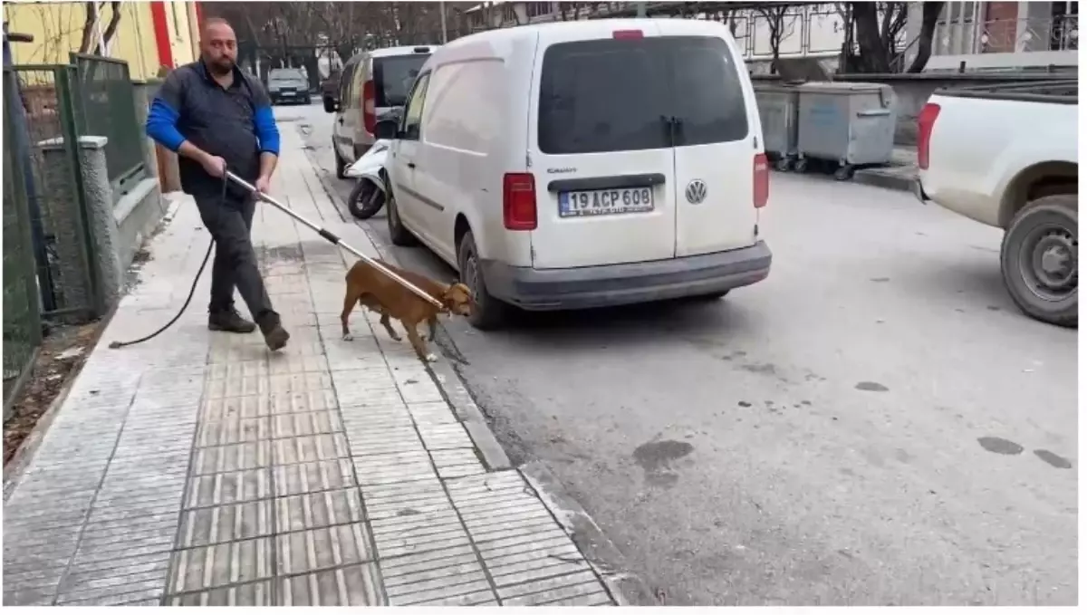 Köpek Saldırısı İhtimali: Ahmet Selim Vural’ın Cesedi Bulundu